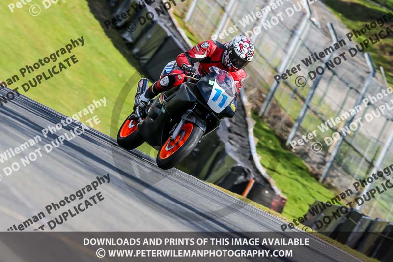 Oulton Park 20th March 2020;PJ Motorsport Photography 2020;anglesey;brands hatch;cadwell park;croft;donington park;enduro digital images;event digital images;eventdigitalimages;mallory;no limits;oulton park;peter wileman photography;racing digital images;silverstone;snetterton;trackday digital images;trackday photos;vmcc banbury run;welsh 2 day enduro